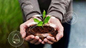 Manos sosteniendo Planta