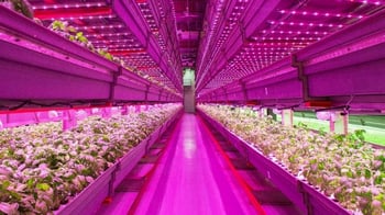 Tecnologia led implementada en cultido