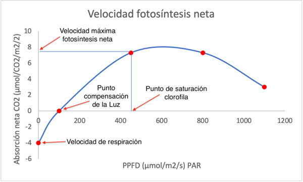 cultivos