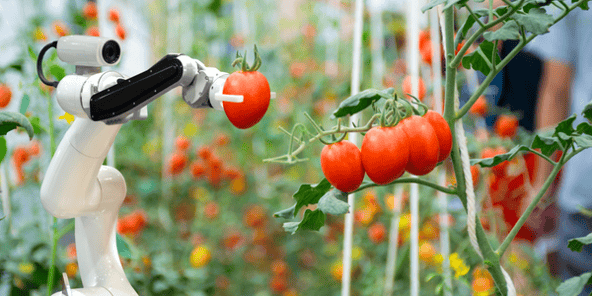 productores agrícolas